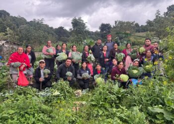 Los CADER son clave para la promoción del desarrollo y la gestión de acciones