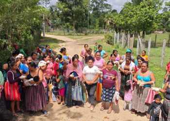 Más 6 mil aves mejoradas benefician a familias rurales de Petén
