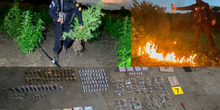 Más dinero, más decomisos y más estructuras impactadas: balance operativo de la PNC en 2025