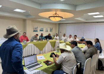 Modelo de Ganadería Sostenible sumará a más productores en 2026