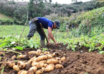 Persisten las lluvias y el riesgo de heladas en 17 departamentos