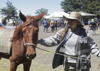 Por un trato digno y responsable hacia los animales