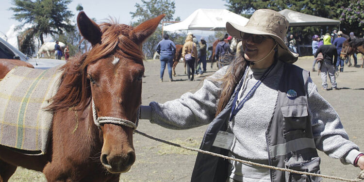 Por un trato digno y responsable hacia los animales