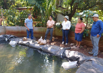 Producción de tilapia promueve la diversificación de la dieta familiar