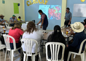 Productores de Esquipulas capacitados en producción de pilones para huertos