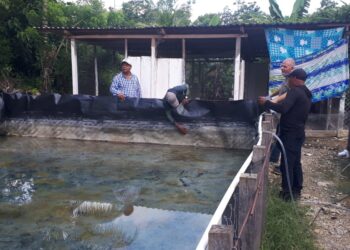 Productores de Panzós fortalecen conocimientos en tecnología acuícola