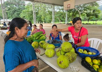 Raxruhá sede de Feria del Agricultor que beneficia a productores y la economía local