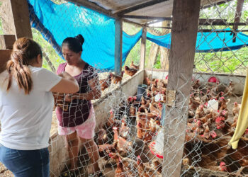 Realizan jornadas de vacunación en San Francisco, Petén