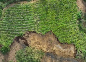 Resiliencia agrícola con monitoreo de drones y evaluación climática