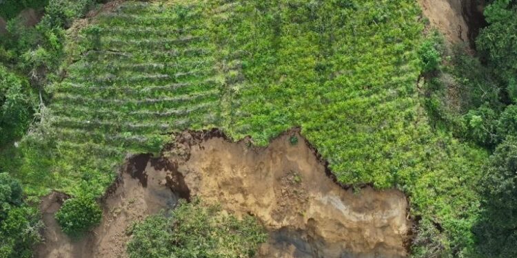 Resiliencia agrícola con monitoreo de drones y evaluación climática