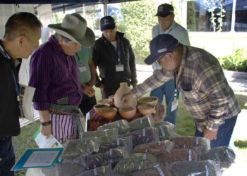 Sector agropecuario de Sololá fortalece sus conocimientos en producción agroalimentaria