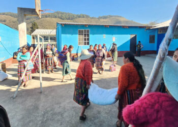 Sistema patio fortalece la producción de más de 42 mil pequeños agricultores