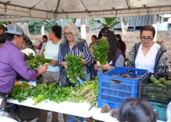 Villa Nueva se llena de sabor y frescura con la última Feria del Agricultor