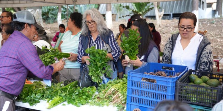 Villa Nueva se llena de sabor y frescura con la última Feria del Agricultor