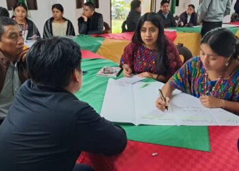 Taller sobre medicina natural Q’eqchi’ fortalece saberes ancestrales en Alta Verapaz