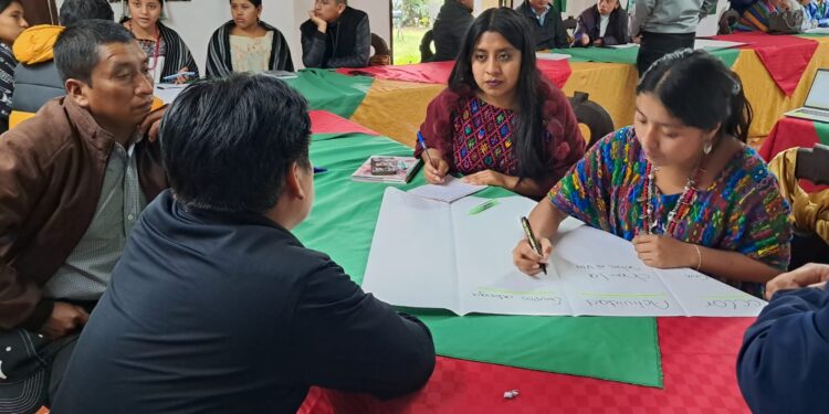 Taller sobre medicina natural Q’eqchi’ fortalece saberes ancestrales en Alta Verapaz