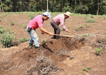 Ingreso de nuevo frente frío podría provocar lluvias y descenso de temperaturas