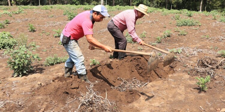 Ingreso de nuevo frente frío podría provocar lluvias y descenso de temperaturas