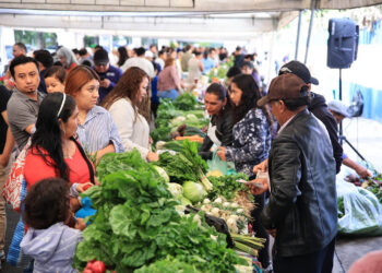 ¿Qué podrá encontrar en la última Feria del Agricultor del año?