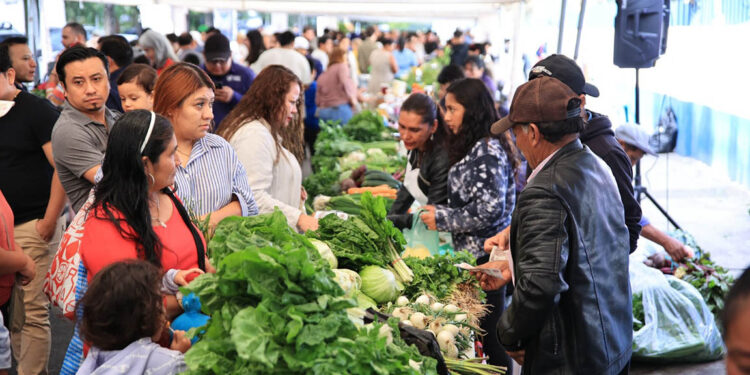 ¿Qué podrá encontrar en la última Feria del Agricultor del año?