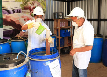 ¿Qué son los Bioinsumos en la agricultura?