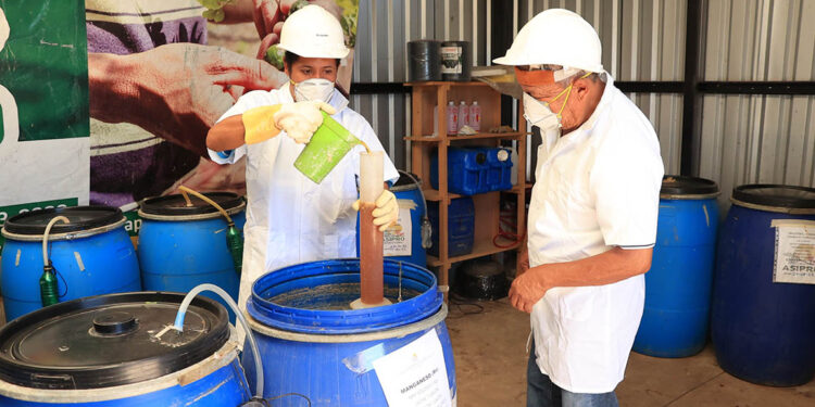 ¿Qué son los Bioinsumos en la agricultura?