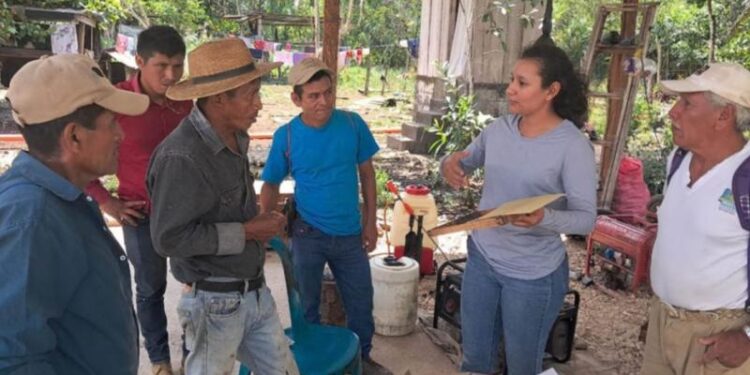 Día Internacional de la Educación: enseñanzas que transforman el campo