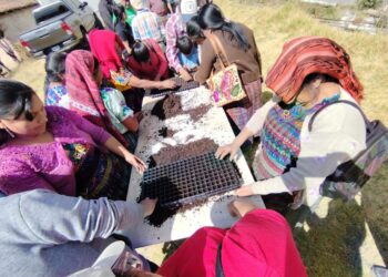 Agricultores de Quetzaltenango se tecnifican en agricultura protegida para mejorar sus cultivos