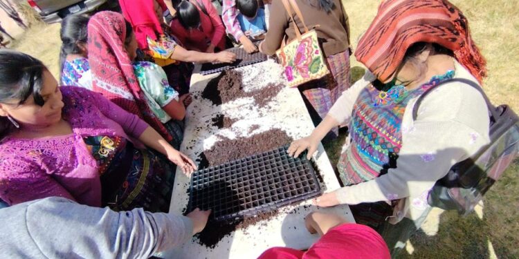 Agricultores de Quetzaltenango se tecnifican en agricultura protegida para mejorar sus cultivos