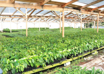 Ante bajas temperaturas y posibles heladas son monitoreados 173 municipios