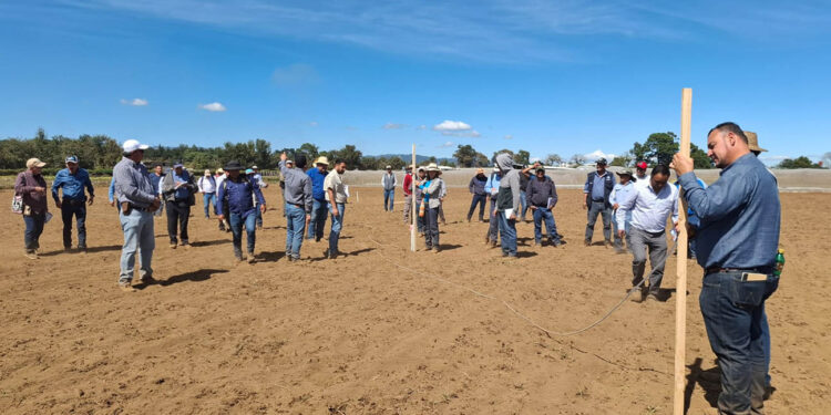 Aplican en campo principios de la metodología Keyline