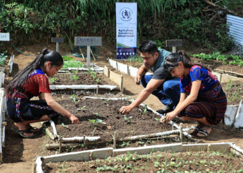 Aprender sembrando también es educar