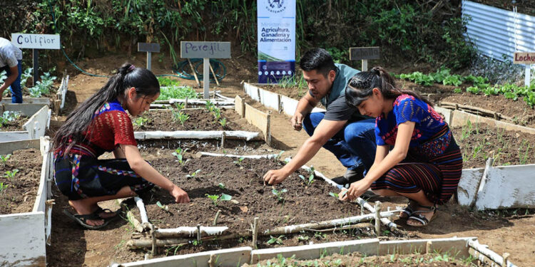 Aprender sembrando también es educar