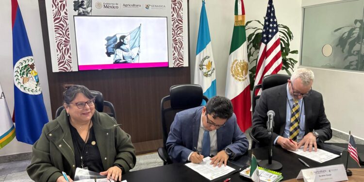 Aseguran plan regional 2026 para el control de la mosca del Mediterráneo