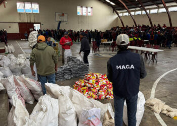 Asistencia alimentaria llega a más familias