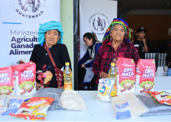 Asistencia alimentaria llegará a más de 92 mil familias en enero