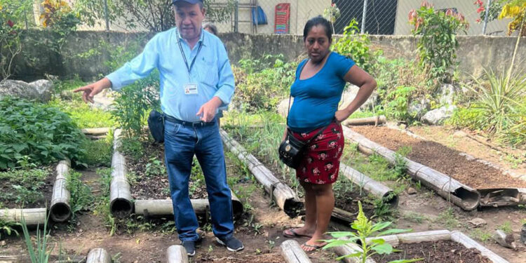 Asistencia técnica fortalece huerto comunitario liderado por mujeres