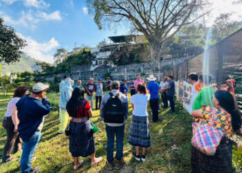 Caficultores de San Lucas Tolimán conocen la normativa europea