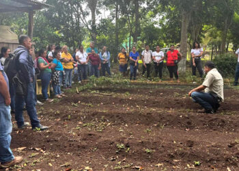 Capacitadas más de 95 mil personas en producción de alimentos