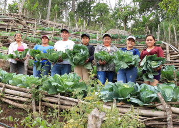 Conozca cómo acceder a los servicios de apoyo y desarrollo rural del MAGA