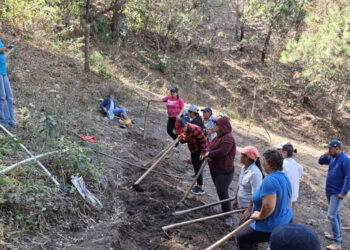 Conozca la agricultura familiar y sus componentes clave