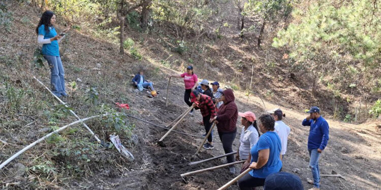 Conozca la agricultura familiar y sus componentes clave