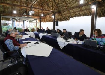 Consolidan estrategia sanitaria frente a la influenza aviar