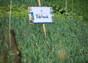 Crédito Tob’anik el impulso para quienes trabajan la tierra