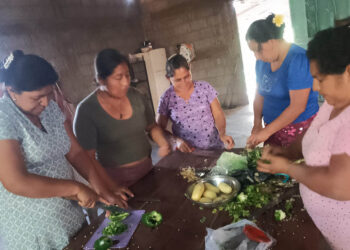 En Chiquimula impulsan el aprovechamiento integral de cultivos