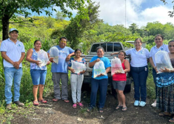 Entrega de alevines fortalece la acuicultura en Petén
