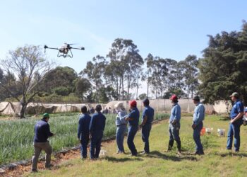 Estudiantes fortalecen competencias técnicas mediante el uso de drones agrícolas