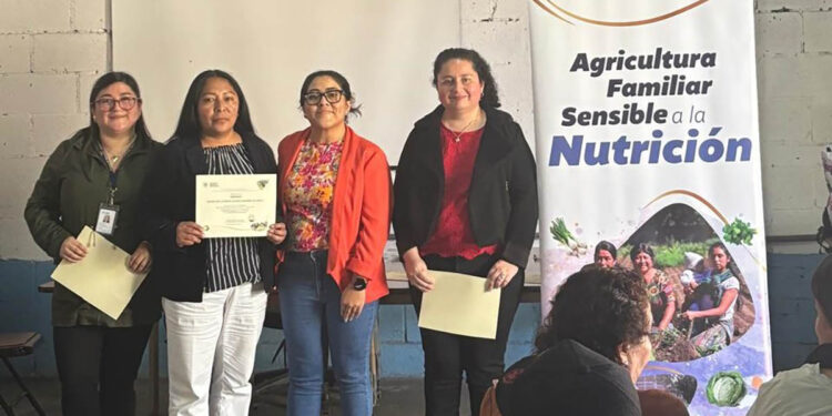 Extensionistas optimizan sus capacidades técnicas en Agricultura Sensible a la Nutrición