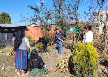 Familias de Salcajá reciben capacitación en manejo de frutales deciduos