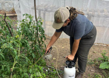 Familias zacapanecas fortalecen su economía con asistencia técnica en biofábricas y cultivos